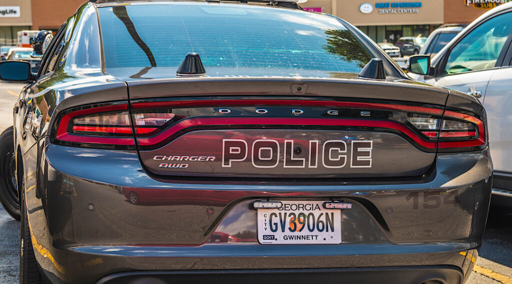 Georgia Government Police Car
